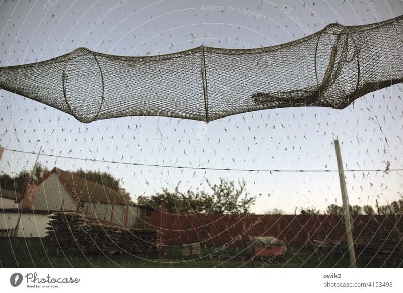 sag Fish trap Net - a Royalty Free Stock Photo from Photocase