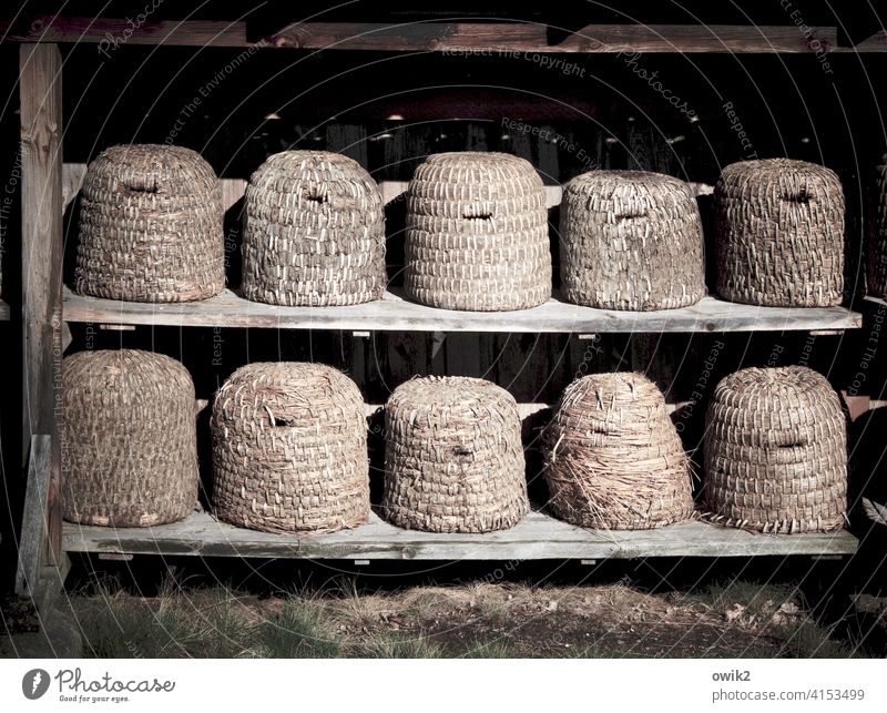 Historic buildings Beehive Old Open-air museum 10 quantity Many Story Plaited plaited baskets Rural Hatch Opening Shelves Wood Simple Sequence rank and file