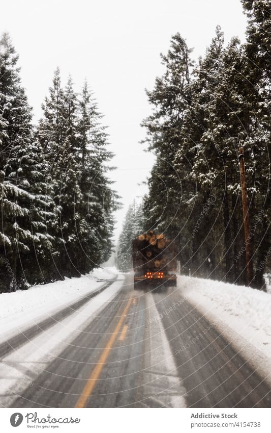 Truck with wooden logs on snowy road among forest truck winter car drive roadway cargo nature travel woods tree weather evergreen woodland spruce narrow