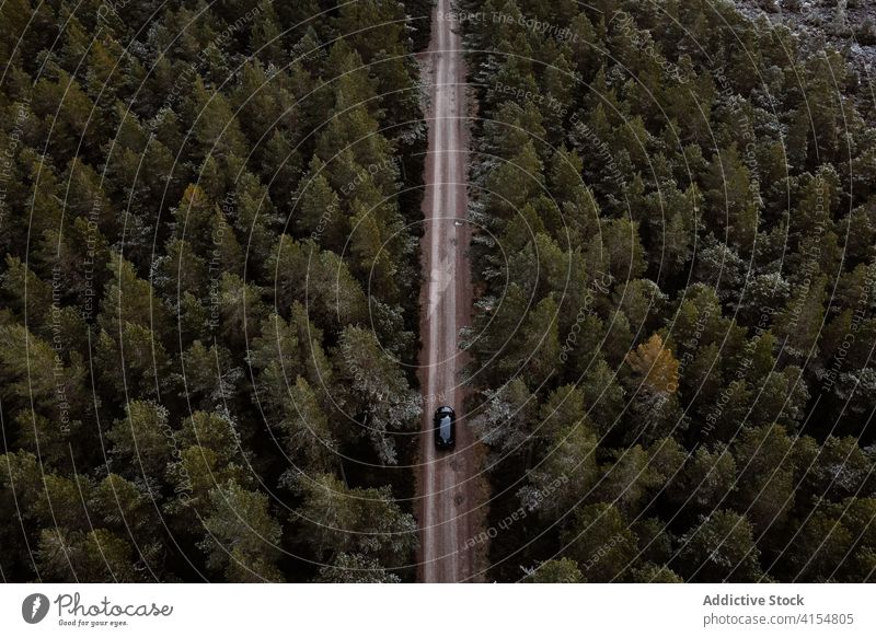 Amazing view of road going through forest car drive woods coniferous automobile winter nature landscape scottish highlands scotland uk united kingdom cold