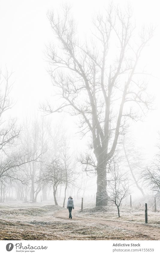 Unrecognizable woman walking on foggy road in countryside alley mist forest cold alone gloomy path female hike nature autumn winter season adventure travel tree