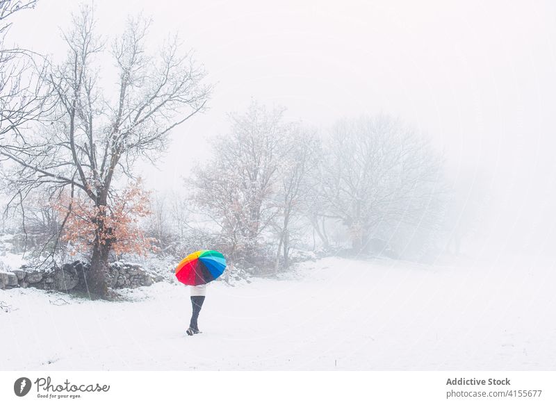Unrecognizable person walking along forest in winter park colorful umbrella snow snowfall cold season road pyrenees catalonia spain weather frost holiday
