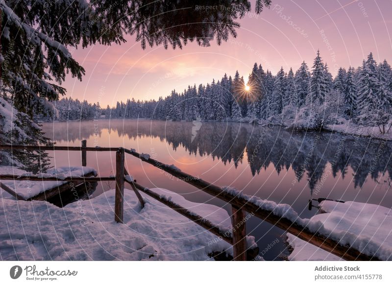 Small lake with wooden pier in winter forest sunset nature coniferous snow landscape calm scenic reflection sundown sunlight cold tranquil peaceful travel