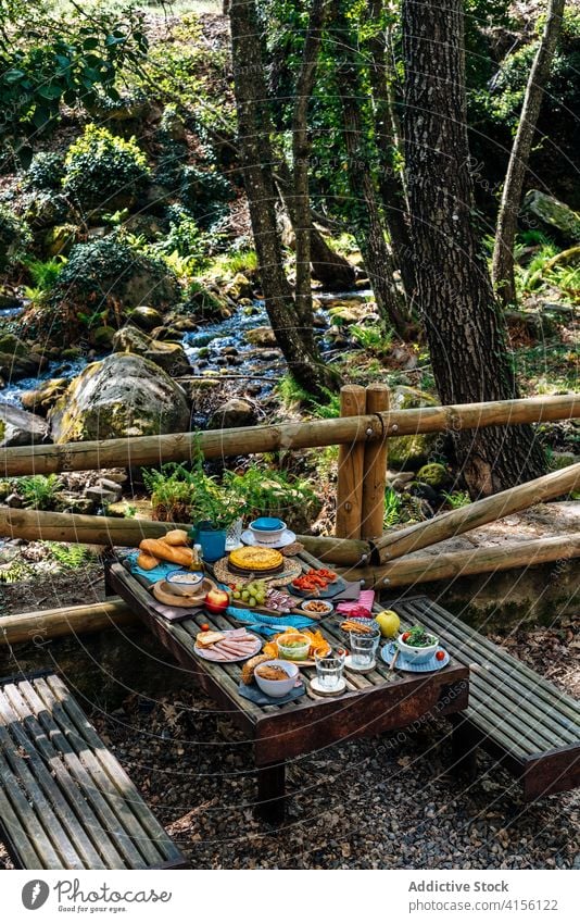 Table with various food for picnic in forest table assorted dish serve woods tasty valle del jerte caceres spain cozy meal holiday nature summer gourmet natural