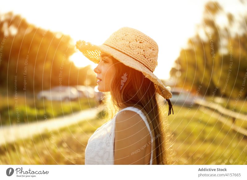 Charming woman in field in summer sunhat meadow sunset evening tender carefree relax female stand nature romantic rest sundown peaceful grass lady gentle
