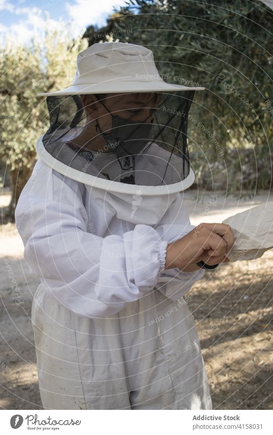 Female beekeeper working in apiary woman protect uniform professional glove put on garden summer female mask costume equipment safety worker job occupation