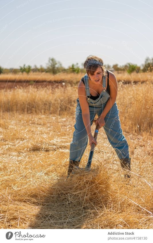 Female working in field village summer woman dry grass rake rubber boot countryside nature holiday plant weekend lawn recreation overall landscape dried meadow