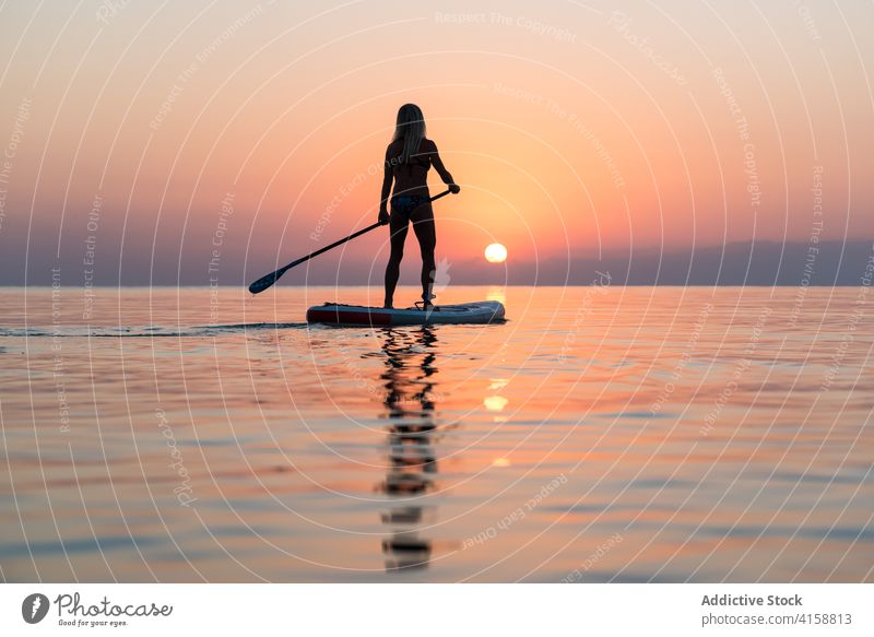 Anonymous woman practicing on paddleboard at sunset surfer sup board silhouette row sea training surfboard female summer sporty stand calm water sundown sky