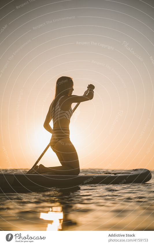 Anonymous woman rowing on paddleboard in sea sup sunset silhouette swimsuit vacation summer ocean relax water holiday weekend enjoy evening nature water sports