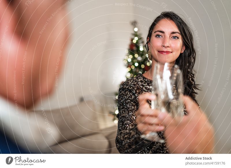 Smiling woman clinking glass with friend during party champagne christmas celebrate holiday drink festive together classy alcohol gather beverage toast event