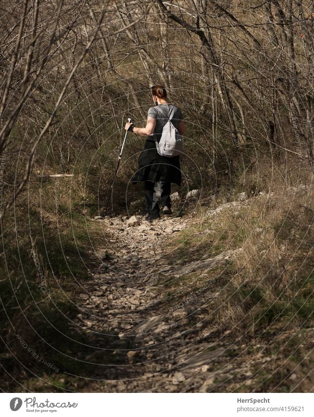 Hiker walking downhill with poles Hiking Woman Rear view Mountain Nature Alps Exterior shot stony road Walking stick undergrowth Spring Backpack Movement