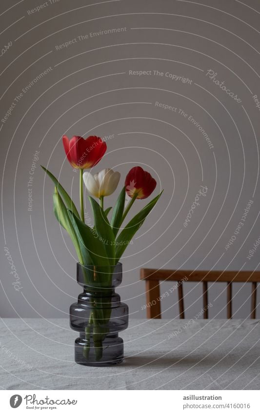 Colorful tulips in vase Red White Red variegated Joy Gray Patch of colour Bouquet Tulip Blossom Flower Green Spring herald of spring Spring flower Interior shot