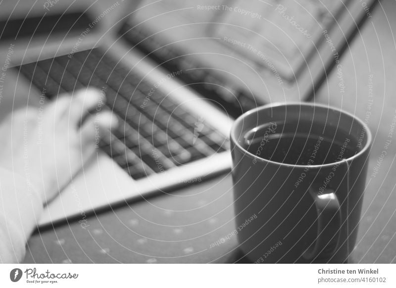 Hand of a woman working on a notebook at home. In the foreground a mug with tea. home office Notebook Homeschooling online lecture laptop Computer Young woman