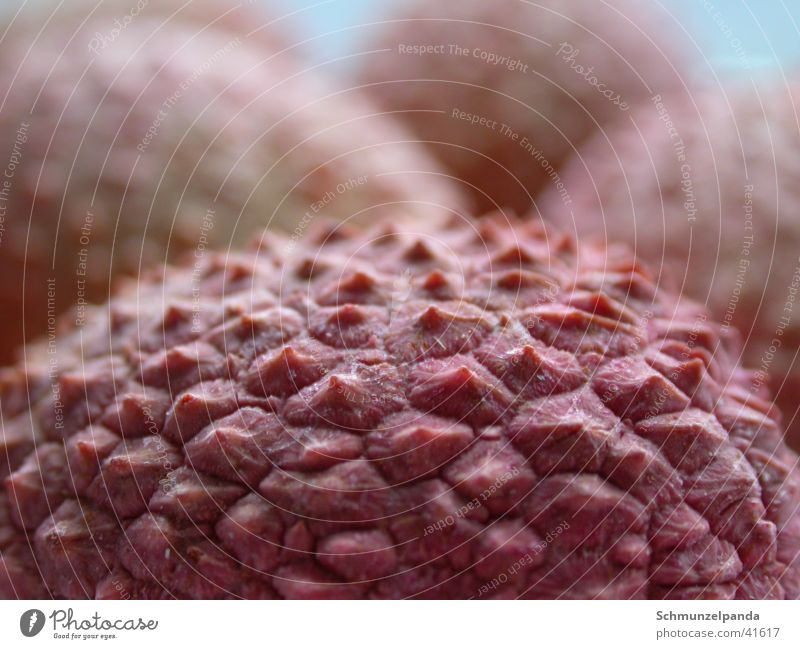 lychee Lychee Pink Healthy Thorn Macro (Extreme close-up) Fruit Exotic