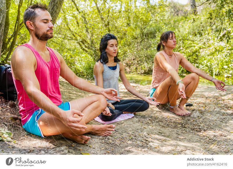 People sitting in Padmasana pose on walkway near trees people padmasana yoga meditate reflective eyes closed spirit legs crossed zen pathway wellness vitality