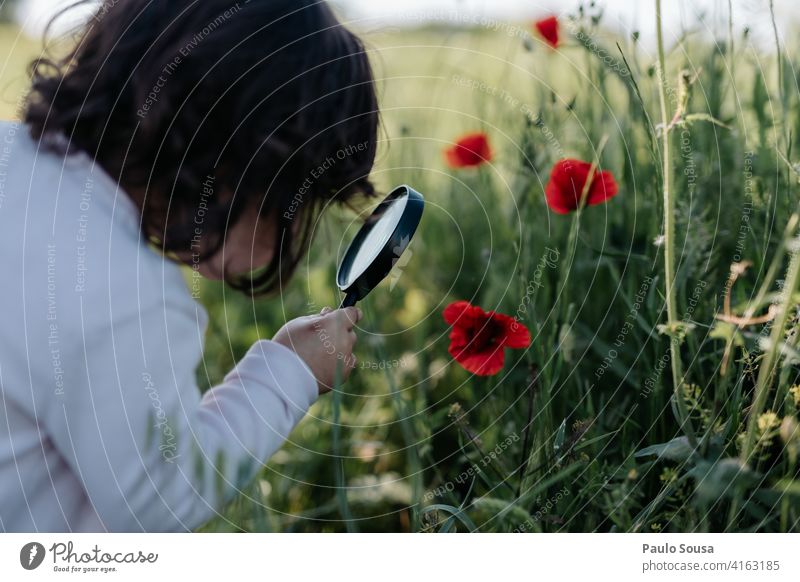 Child watching poppies with magnifying glass 1 - 3 years Caucasian Magnifying glass Poppy Poppy blossom Curiosity Authentic Spring Spring fever Education