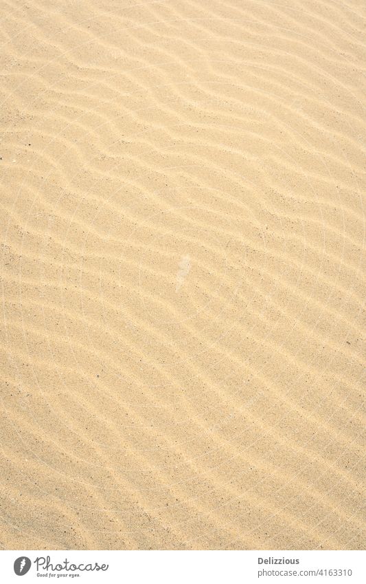 close-up of sand pattern at the Dutch coast, no people landscape nobody zeeland netherlands holland beach beautiful editorial dutch nature scenery destination