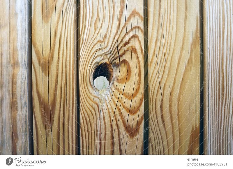 closed wooden fence with a knot hole / demarcation / wood grain / privacy screen Wooden fence Wood grain Knothole Fence Brown Light brown Closed