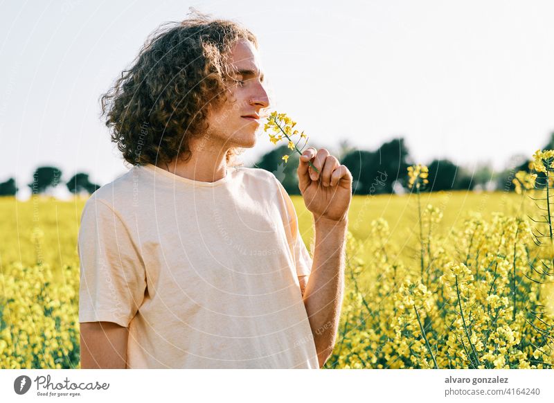 young man with curly hair with a flower in his nose in a rapeseed field in a spring sunny day yellow nature landscape che male portrait guy handsome person