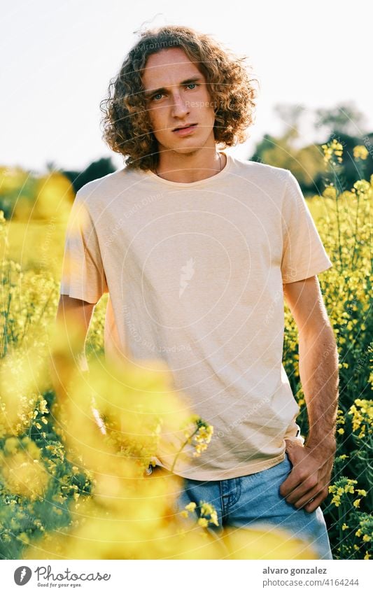 young man with curly hair looking at camera in a rapeseed field in a sunny spring day yellow nature landscape che male portrait guy handsome person attractive