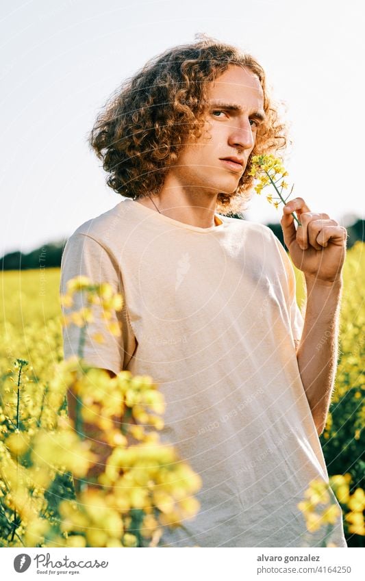 portrait of a young man with curly hair in a rapeseed field in a spring sunny day yellow nature landscape che male guy handsome person attractive caucasian