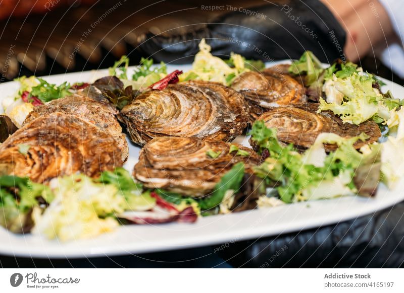 Grilled seafood with shell served with greens grill gourmet scallop meal delicious dish cuisine appetizing nutrition gastronomy culinary snack appetizer yummy