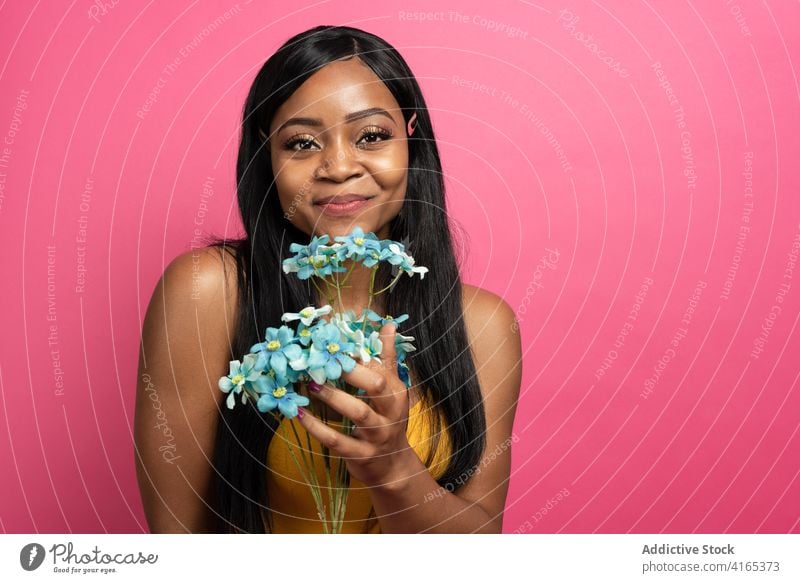 Delighted young ethnic woman smelling flowers in pink studio smile happy blossom delicate gift fresh portrait elegant cheerful joy female african american black
