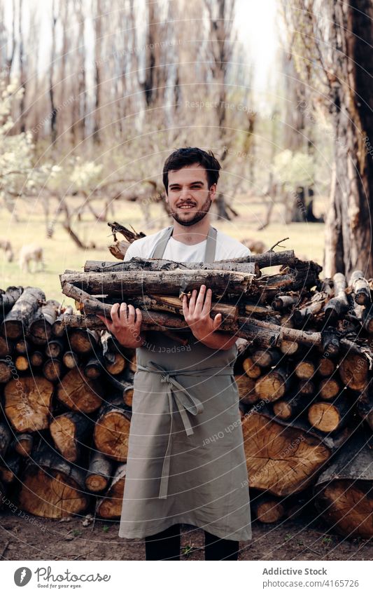 Man taking firewood in forest man picnic log branch nature apron pile male summer tree environment rural countryside fresh season prepare wooden natural timber