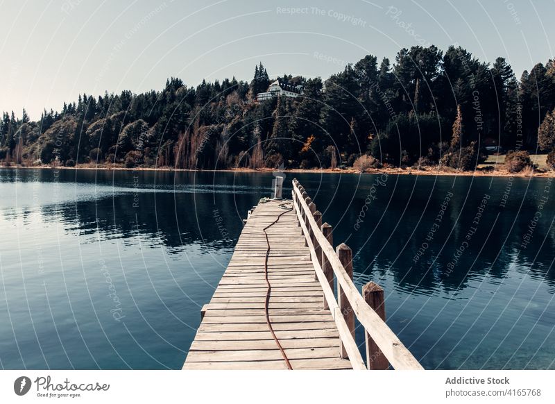 Wooden pier in lake near forest wooden quay calm pond landscape water sunny patagonia south america coniferous serene nature idyllic scenic picturesque