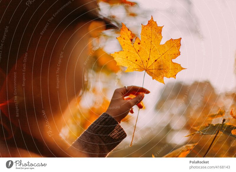 #A9# In autumn holding a yellow leaf Exterior shot Autumnal weather Autumn leaves Hiking Positive To go for a walk Hair and hairstyles being out Experience