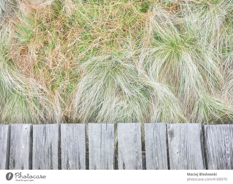 Wooden floor boards with blurred grass in background, selective focus. wood nature garden park natural above nobody green abstract