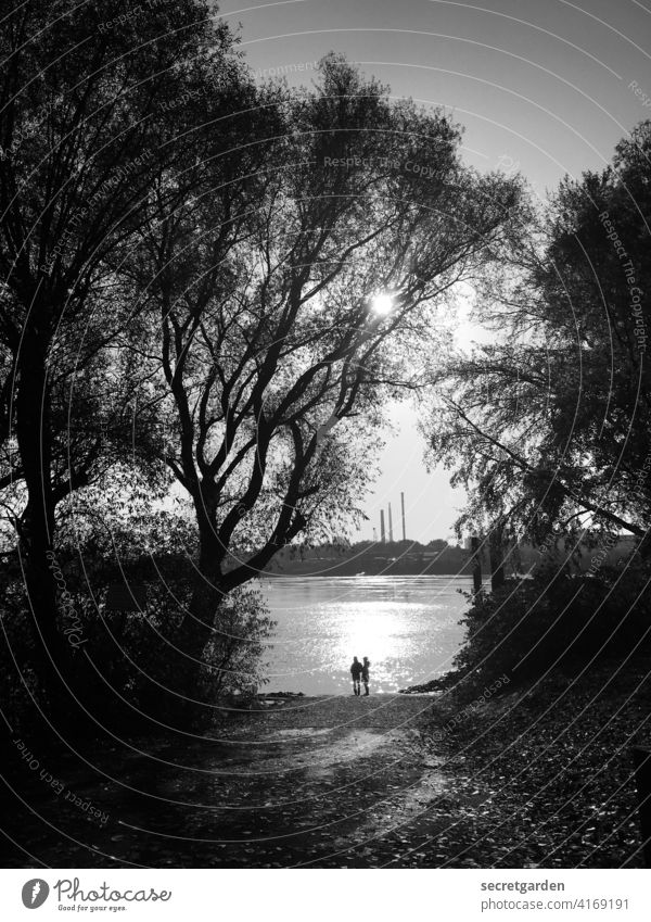 Hugging in the frame. Romance romantic Black & white photo couple Couple Park Elbe Hamburg Sunlight Reflection Water bank Exterior shot River Horizon Sky