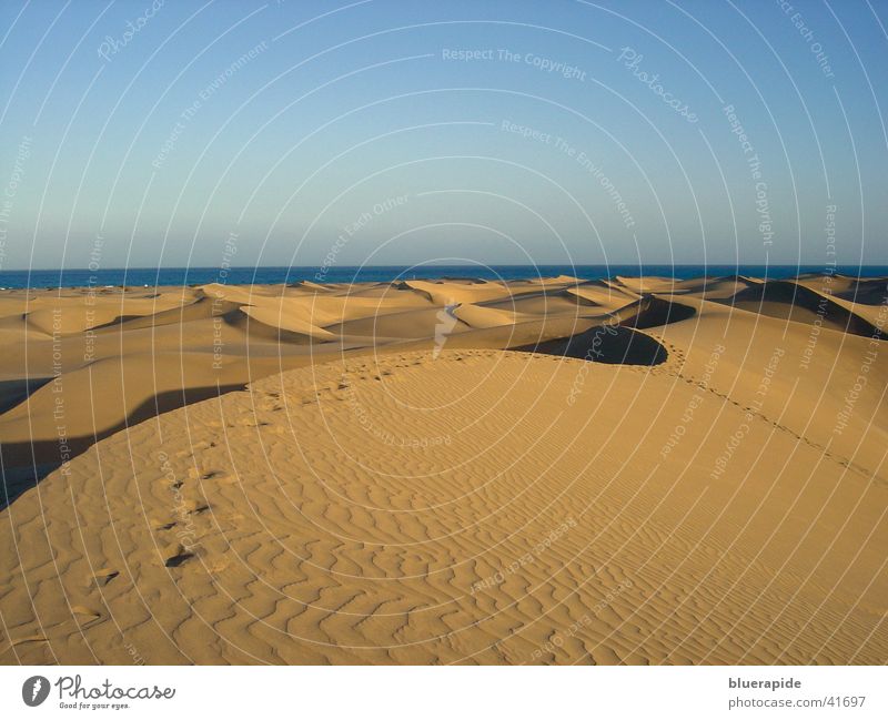 Transient Traces Pattern Yellow Horizon Vacation & Travel Sand Beach dune Structures and shapes Sky Gold Tracks Line Colour Desert