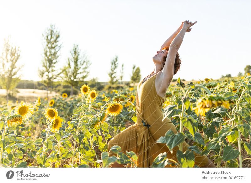 Relaxed woman doing yoga in field sunflower asana nature sunny tranquil serene dress idyllic countryside healthy harmony calm meadow peaceful relax bloom summer