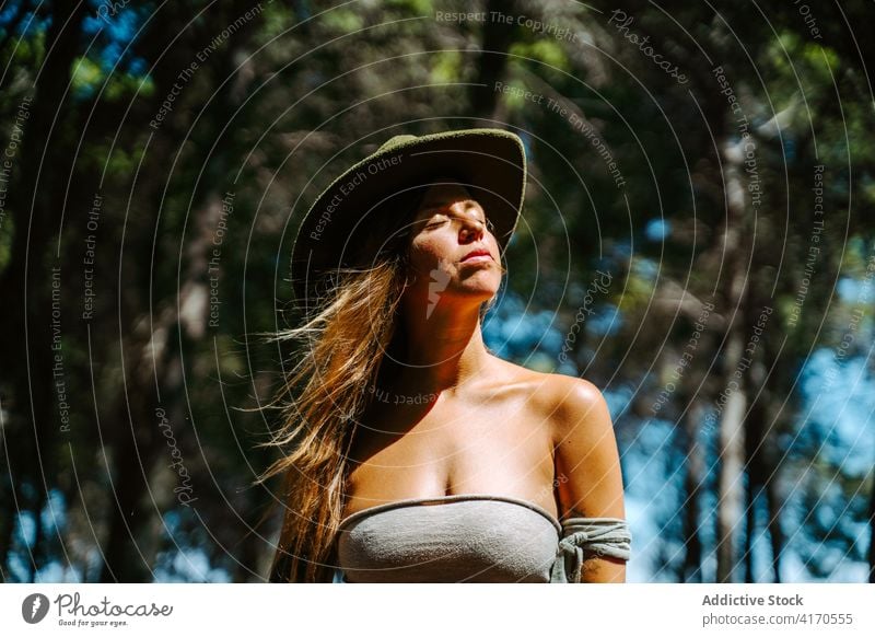 Carefree woman enjoying nature in forest carefree freedom eyes closed wind sunlight gentle hippie female hipster hat top peaceful woods summer serene young