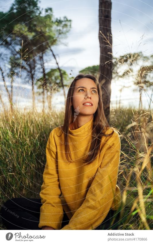Peaceful woman enjoying sun in nature dreamy sunset countryside field carefree daydream female relax calm meadow sit grass tender freedom embrace dusk rural