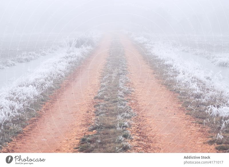 Dirt track with frozen grass in a foggy day in winter. wild outdoors adventure nature natural travel tourism zamora spain spanish reflection blue sky nobody