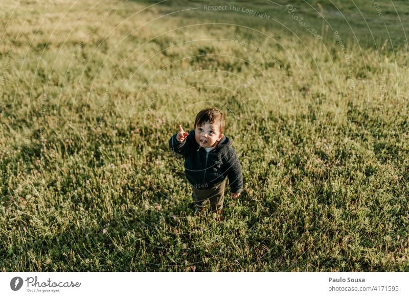Cute child point at the sky Child childhood 1 - 3 years Caucasian Boy (child) Point Sky Human being Toddler Infancy Colour photo Joy Playing Day Happiness