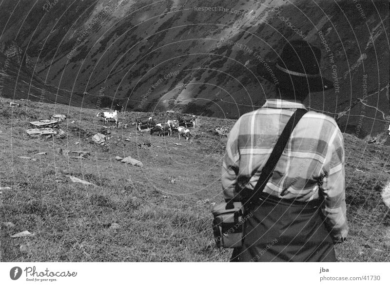 Mountain farmer_3 Cattle Loneliness Farmer Alpine pasture Landscape