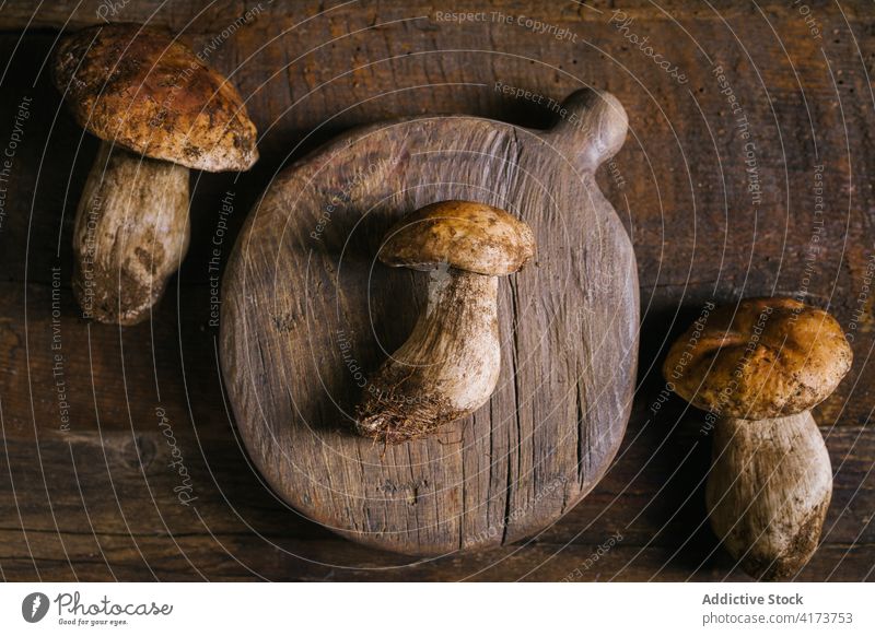 Porcini mushrooms on wooden table porcini boletus edulis cep fresh raw edible fungus organic food natural nutrition rustic ingredient vegan penny bun vegetarian