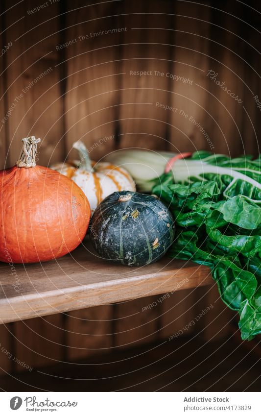 Pumpkins and green chard leaves on wooden counter vegetable pumpkin leaf fresh natural organic food market agriculture various grocery assorted bunch greenery