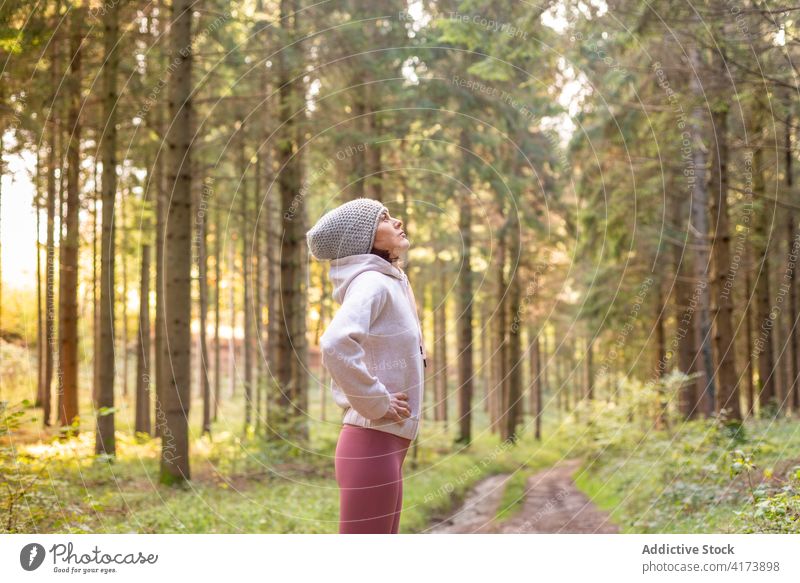 Tranquil woman enjoying morning in forest freedom traveler explore tranquil wanderlust adventure female woods early sunlight sunrise dawn nature relax scenic