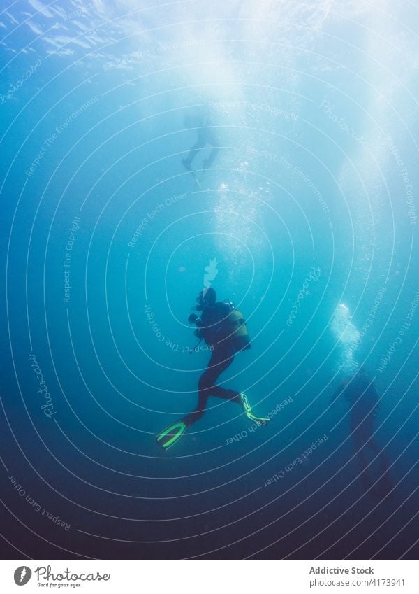 Divers swimming in deep ocean among aquatic vegetation underwater fish nature sea colorful background blue environment tropical adventure scuba dive vacation