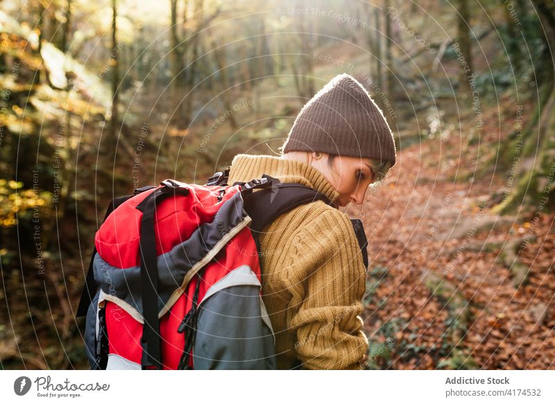 Traveler with photo camera in forest photographer traveler woods adventure admire nature vacation tourism summer tourist enjoy hobby backpack landscape weekend
