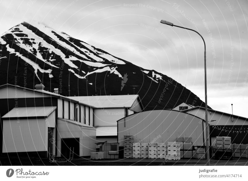 Iceland Harbour Port area street lamp Mountain Snow Industrial site Fishery Fishing port fishing crates crate stacks Black & white photo Landscape
