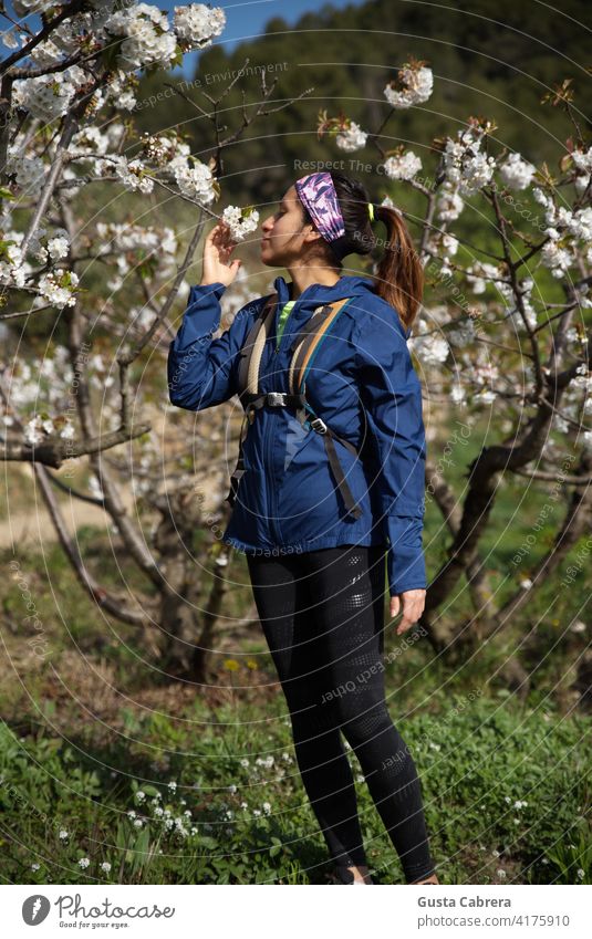 Woman taking a break, observing cherry bushes. mountain power walking person foot exercise sole people outdoors woman physical exercise hike path sport pole