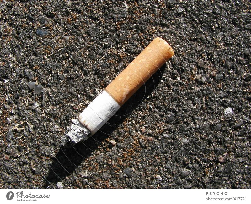 cigarette Things cirarette