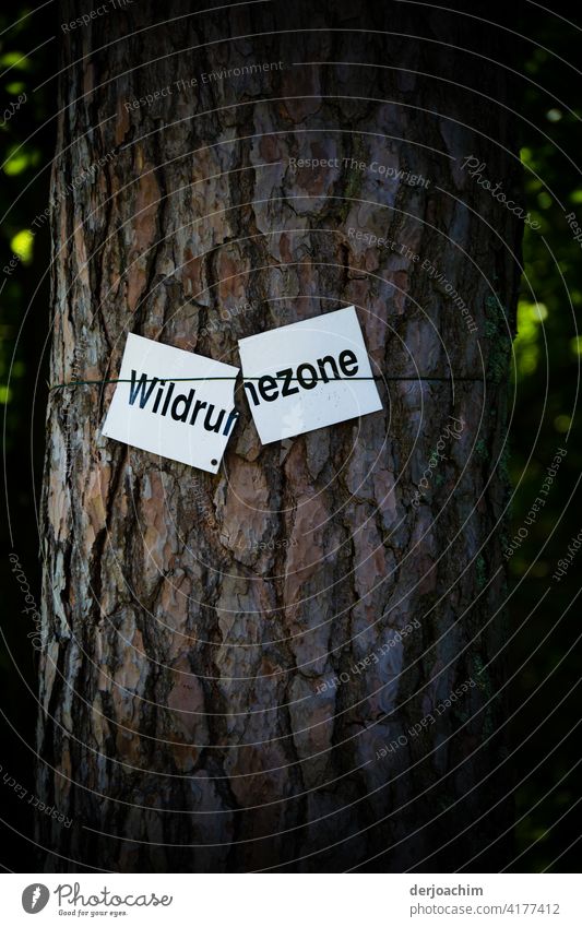 The broken Wildruh..ezone. Broken sign on a tree. Signs and labeling Signage Exterior shot Characters Close-up Letters (alphabet) Word Deserted Colour photo