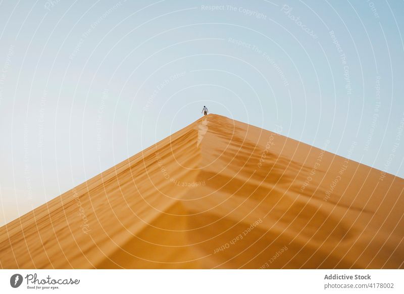 Traveler walking along sandy desert in summer dune traveler tourist stroll landscape morocco africa lonely cloudless blue sky picturesque nature dry scenery