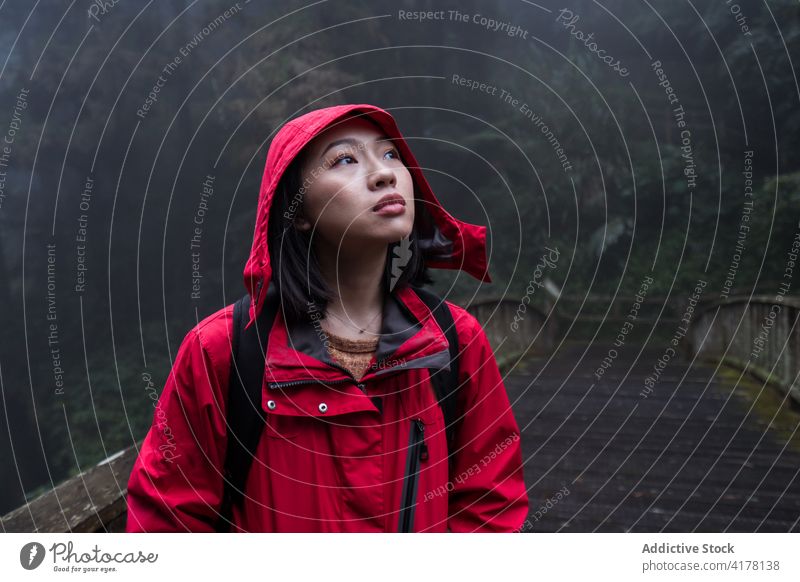 Ethnic traveler standing on footbridge and exploring forest woman explore hike nature rain activity backpacker young asian female ethnic adventure journey